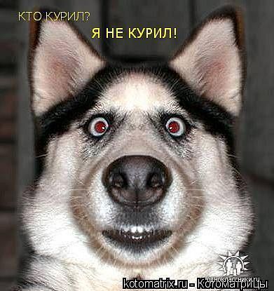 Андрей Чав