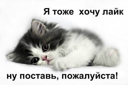 Аликс Толмачев