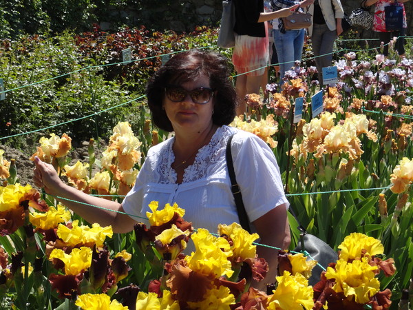 Елена Андрис