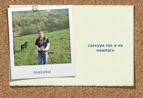 Дмитрий Вавилов