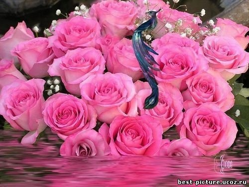 Шолпан Картабаева