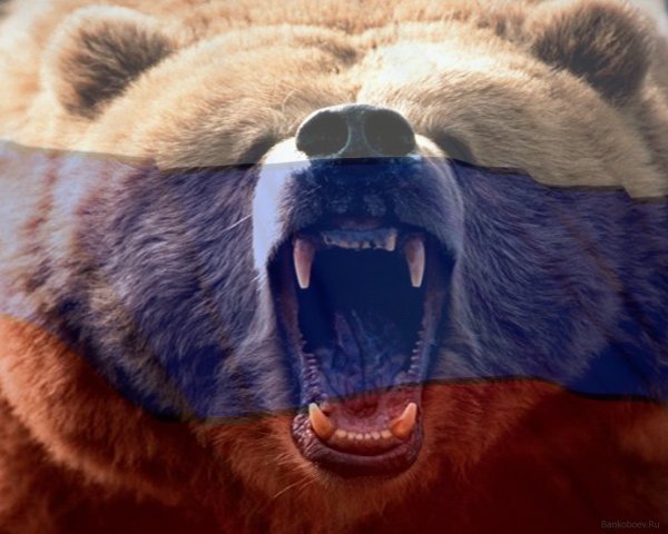 Владимир Капустин