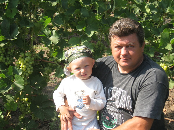 Александр Кекало