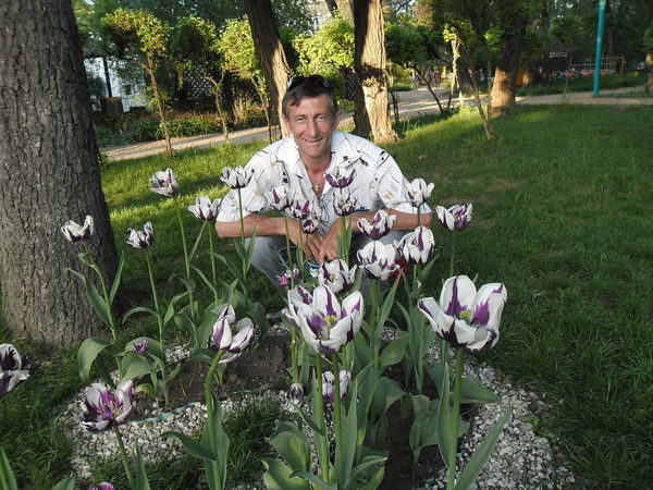 Виктор Анищенко