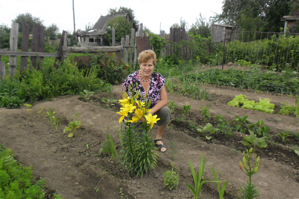 Елена Евдокимова