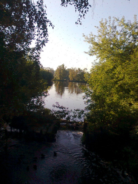Марина Маркина