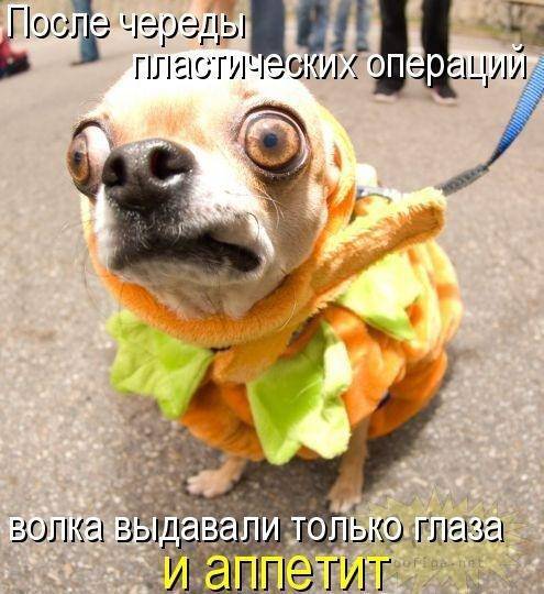 Леонид Мягков