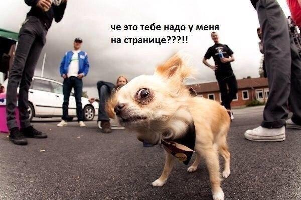 Дмитрий Тюкаев