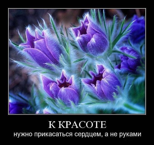 Нурзат Сабашова