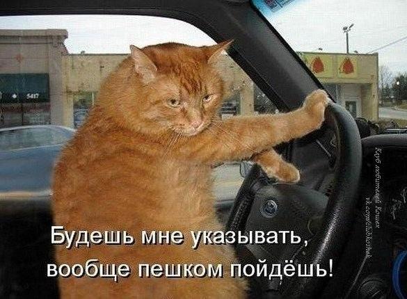 Владимир И Ирина Мартынчик