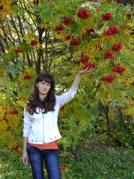 Александра Дорош
