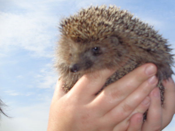 Раиса Аллагулова