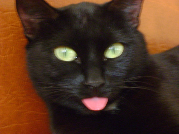 Ната М