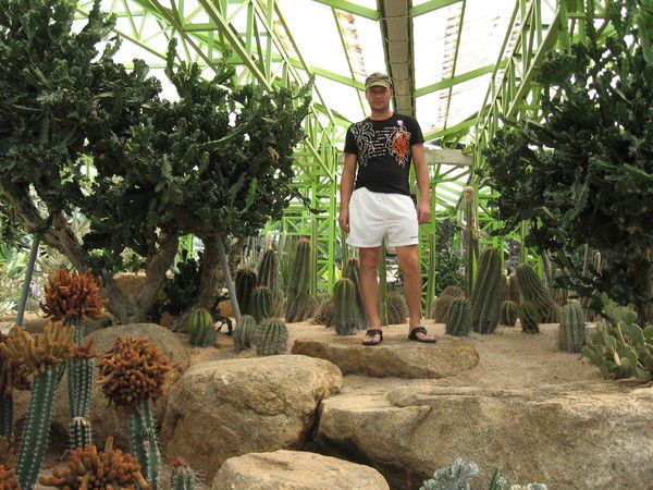 Константин Манамс