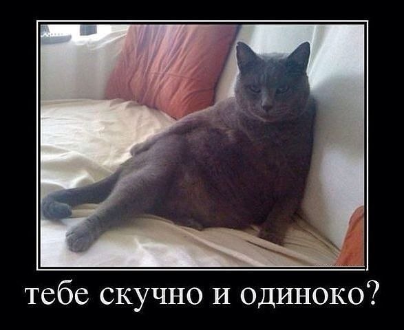 Ольга Нихода