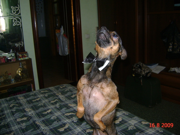 Albina Bass