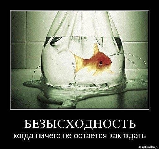 Руслан Ков