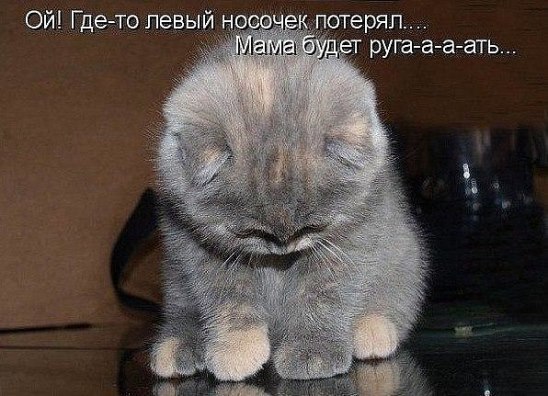 Дмитрий .48
