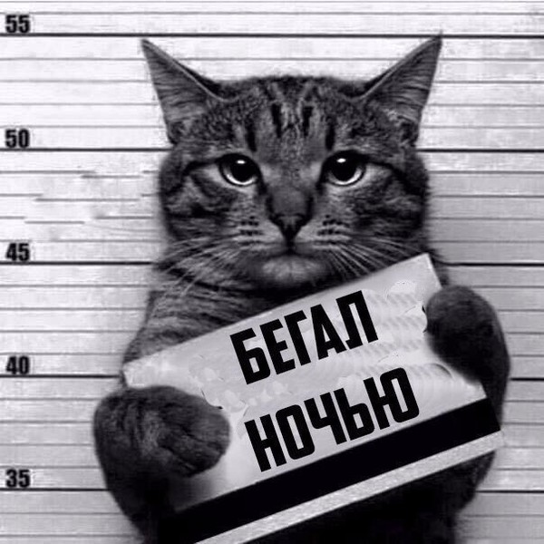 Александр Сосковец
