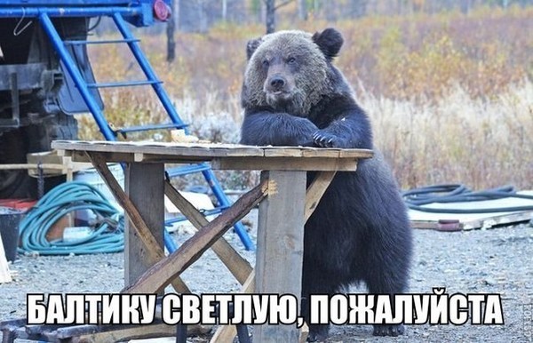 Sergey Medvedev