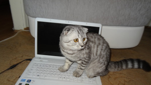 Татьяна Юшкова