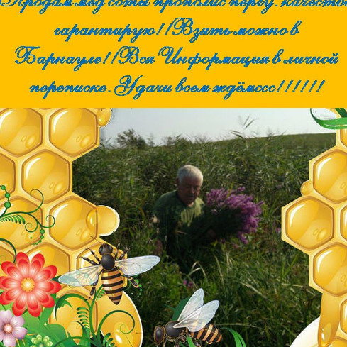 Владимир Соцкий