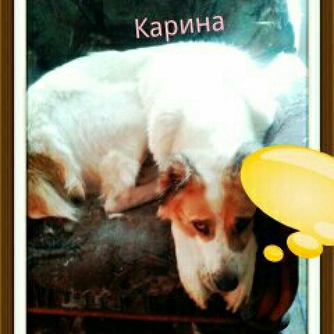 Юлия Камалова
