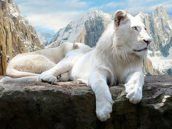 Наталья Краснова