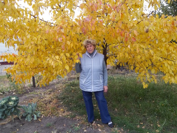 Галина Голомедова