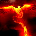 Phoenix 141