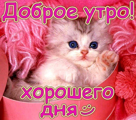 Елена Ложниченко Е.а.