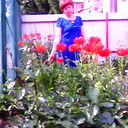 Елена Островская