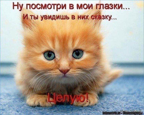 Денис Курчевенко