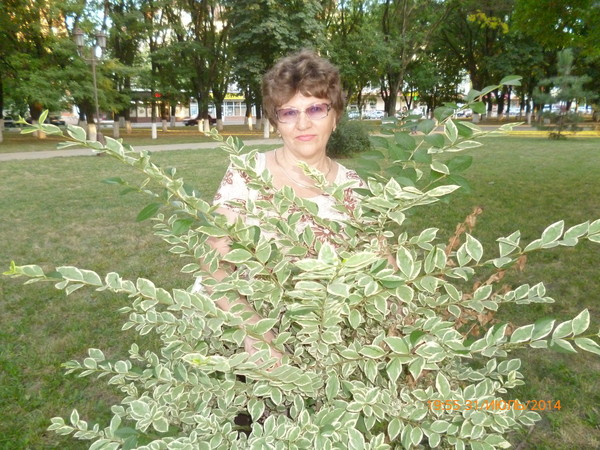 Anna Baturina