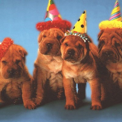 Владимир Гуйда