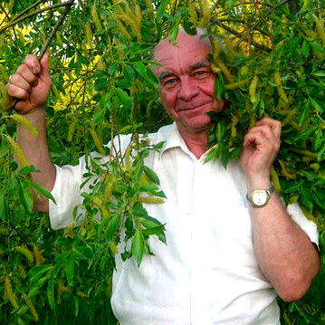 Валерий Сулла
