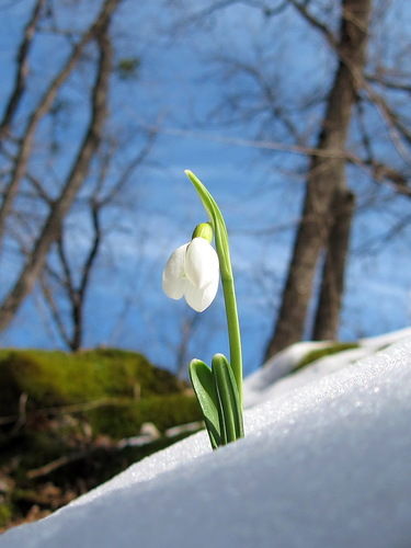 Екатерина Захарова