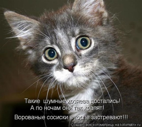Shtirliz-Raisa Isaeva