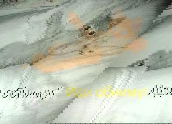 Татьяна Смирнова