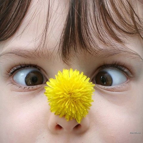 Кнопочк A***********