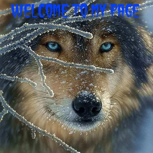Lone Wolf