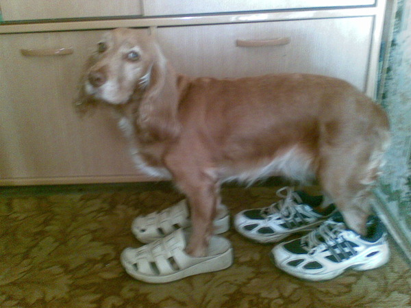 Марина &&&&