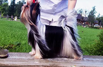 Наталья Статиева
