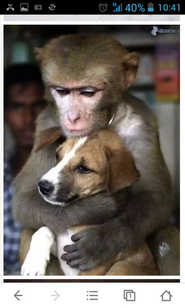 Ирина Чепрасова