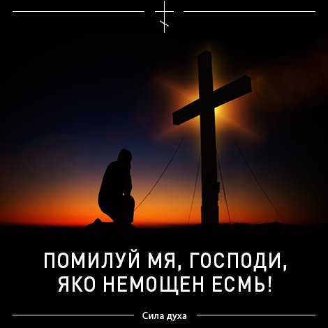 Виктор Тимошков