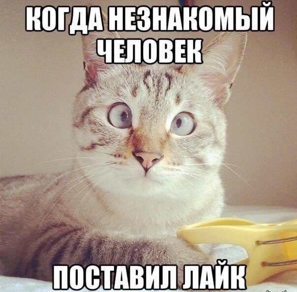 Антон Корнилов