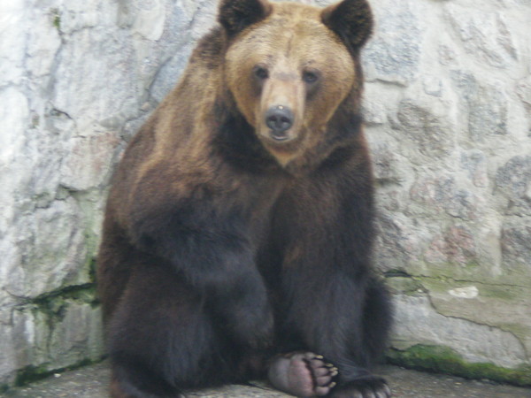 Сергей ,tkjrjym