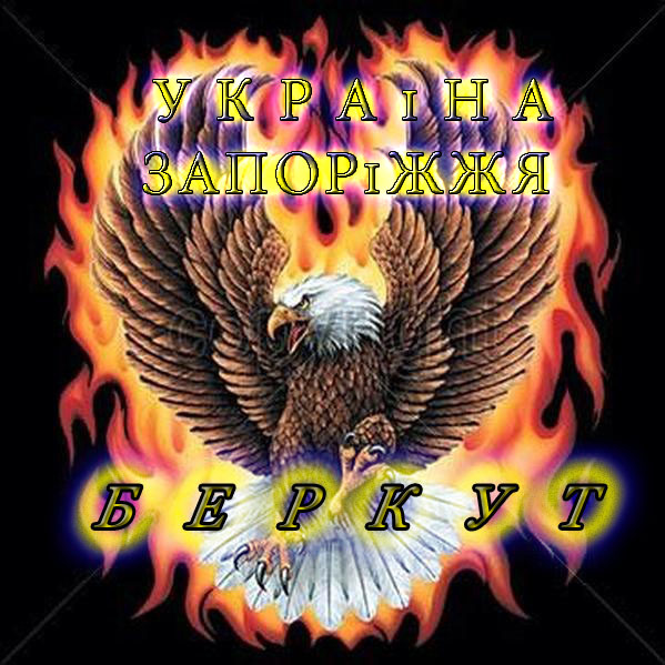 Беркут ..