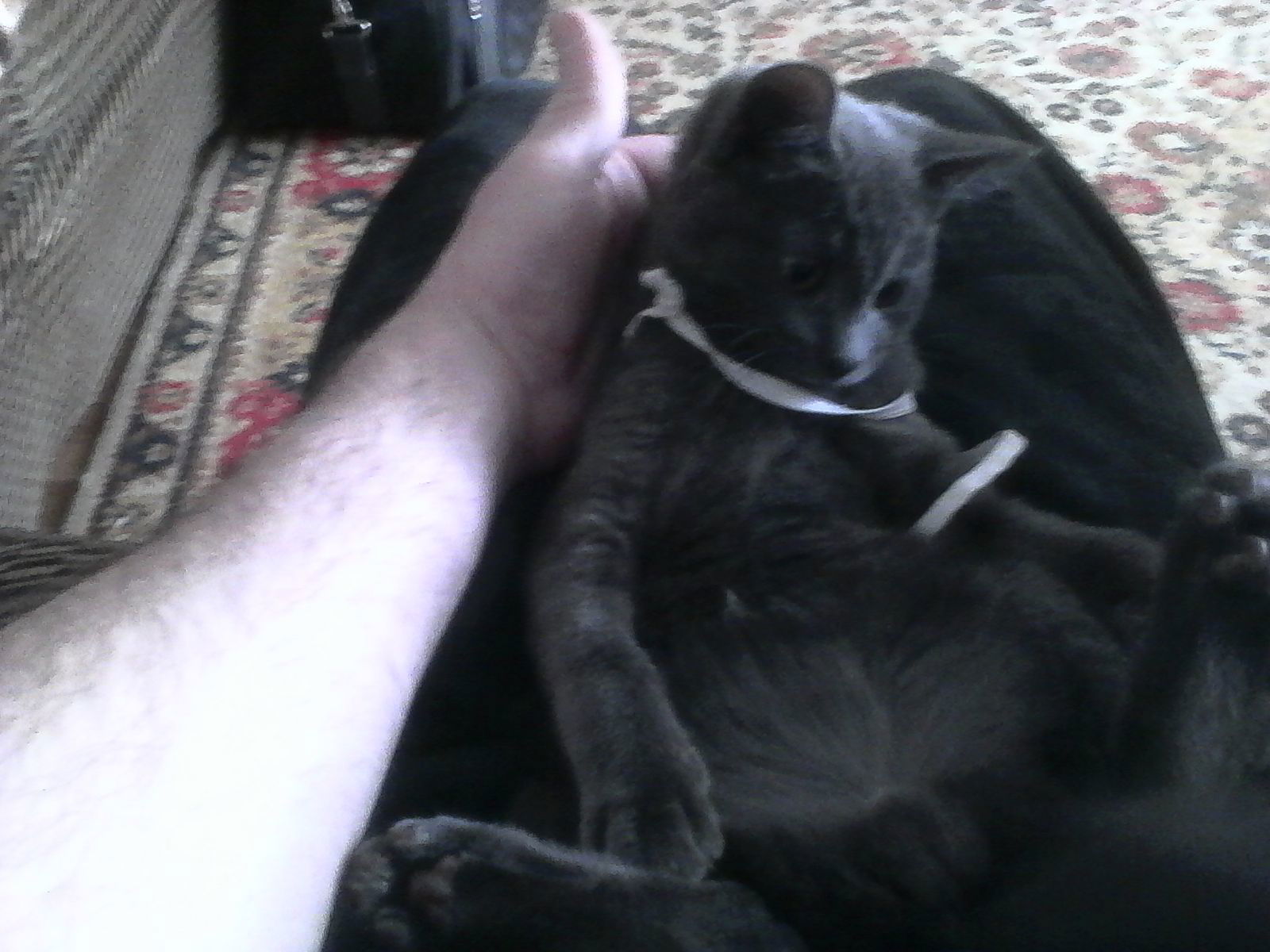 Сергей Тимченко