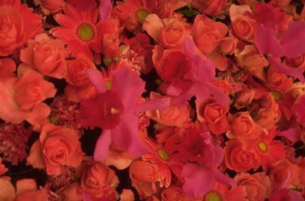 Татьяна Белякова